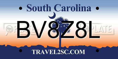 BV8Z8L South Carolina License Plate