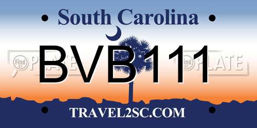BVB111 South Carolina License Plate