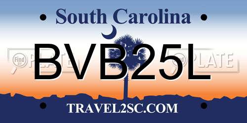 BVB25L South Carolina License Plate