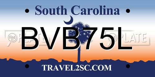 BVB75L South Carolina License Plate