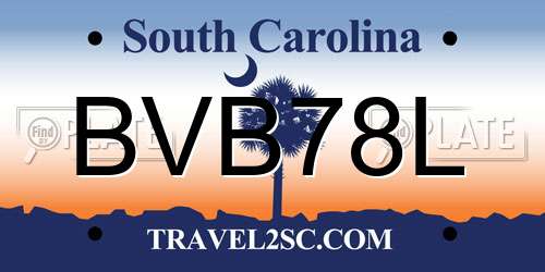 BVB78L South Carolina License Plate