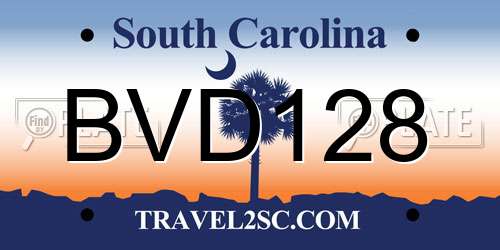 BVD128 South Carolina License Plate