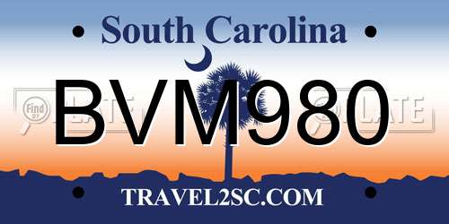 BVM980 South Carolina License Plate