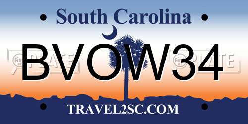 BVOW34 South Carolina License Plate