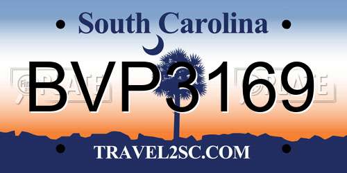 BVP3169 South Carolina License Plate
