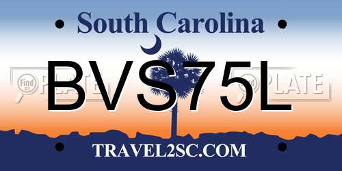 BVS75L South Carolina License Plate