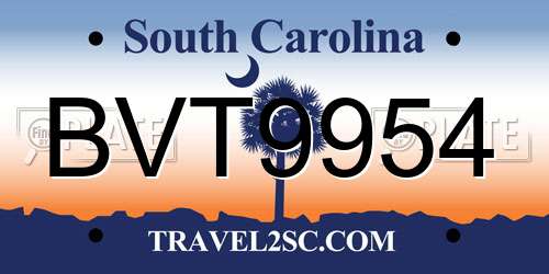 BVT9954 South Carolina License Plate