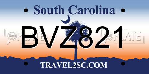 BVZ821 South Carolina License Plate