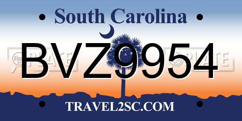 BVZ9954 South Carolina License Plate
