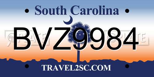BVZ9984 South Carolina License Plate