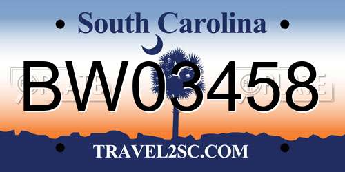 BW03458 South Carolina License Plate