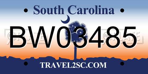 BW03485 South Carolina License Plate
