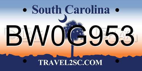 BW0G953 South Carolina License Plate
