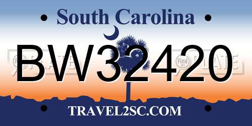 BW32420 South Carolina License Plate