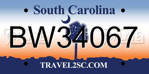 BW34067 South Carolina License Plate