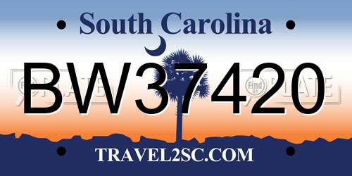 BW37420 South Carolina License Plate
