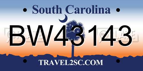 BW43143 South Carolina License Plate