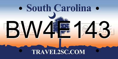 BW4E143 South Carolina License Plate