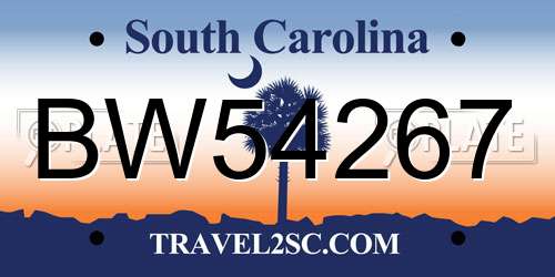 BW54267 South Carolina License Plate