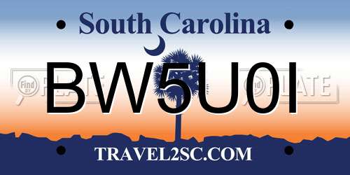 BW5U0I South Carolina License Plate