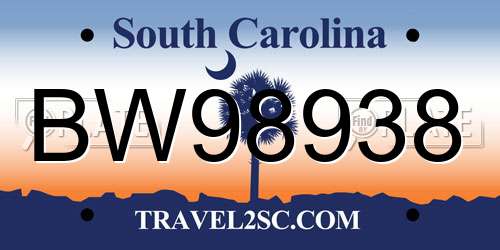 BW98938 South Carolina License Plate