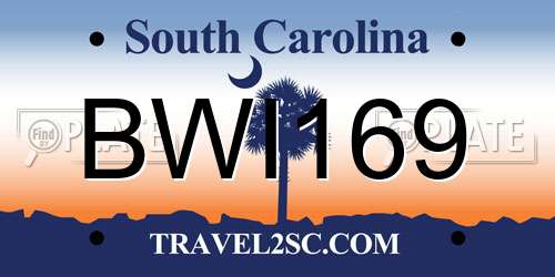 BWI169 South Carolina License Plate