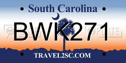 BWK271 South Carolina License Plate