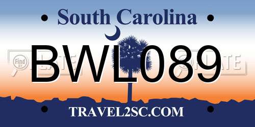 BWL089 South Carolina License Plate