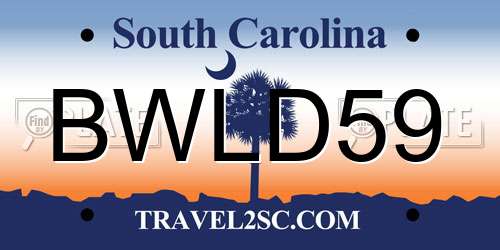 BWLD59 South Carolina License Plate