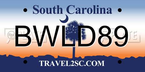 BWLD89 South Carolina License Plate