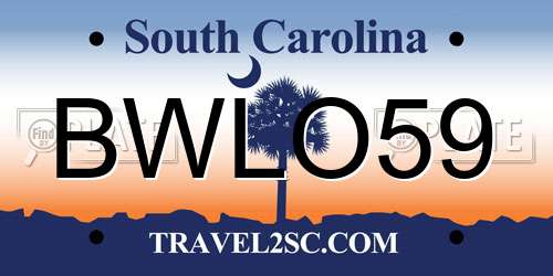 BWLO59 South Carolina License Plate