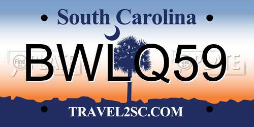 BWLQ59 South Carolina License Plate