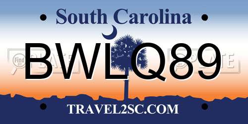 BWLQ89 South Carolina License Plate