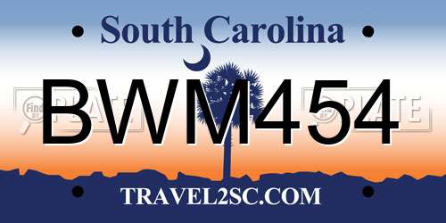 BWM454 South Carolina License Plate