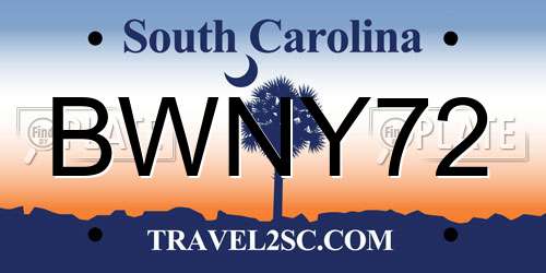 BWNY72 South Carolina License Plate
