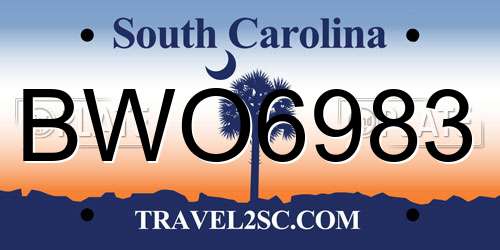BWO6983 South Carolina License Plate