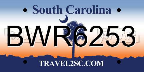 BWR6253 South Carolina License Plate