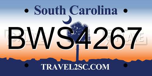 BWS4267 South Carolina License Plate