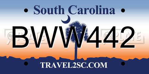 BWW442 South Carolina License Plate