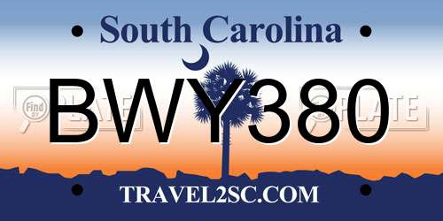 BWY380 South Carolina License Plate