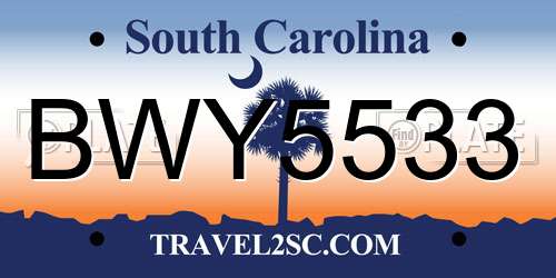 BWY5533 South Carolina License Plate