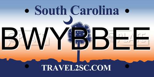 BWYBBEE South Carolina License Plate