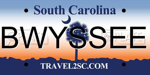 BWYSSEE South Carolina License Plate