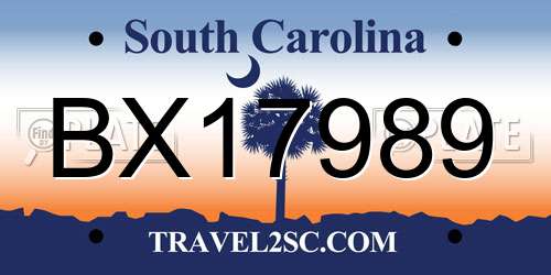 BX17989 South Carolina License Plate
