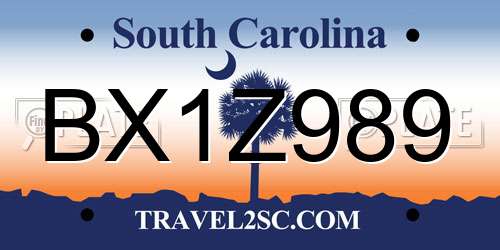 BX1Z989 South Carolina License Plate