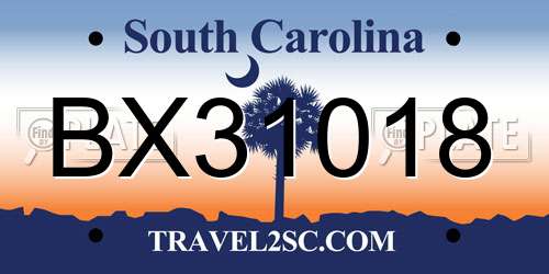 BX31018 South Carolina License Plate