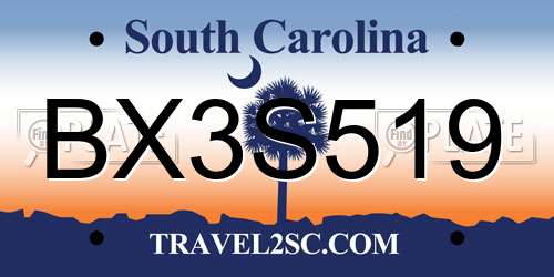 BX3S519 South Carolina License Plate