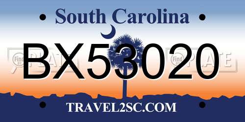 BX53020 South Carolina License Plate