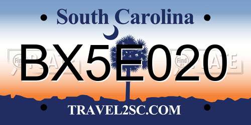 BX5E020 South Carolina License Plate