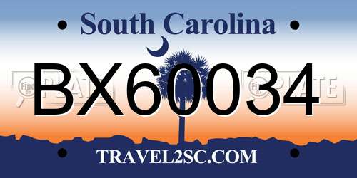 BX60034 South Carolina License Plate